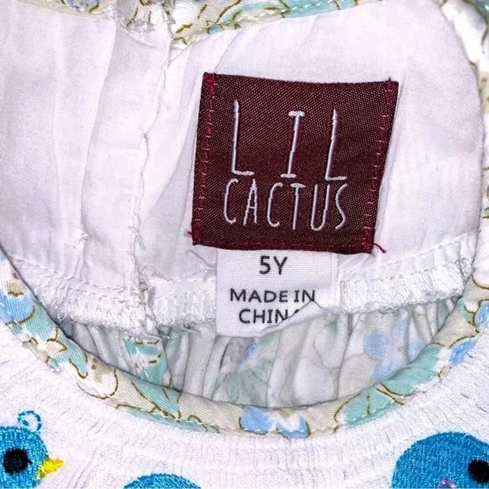 Lil Cactus lil cactus